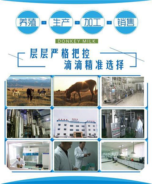 巴里坤縣花麒奶業有限責任公司