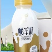 大連九羊乳業股份有限公司