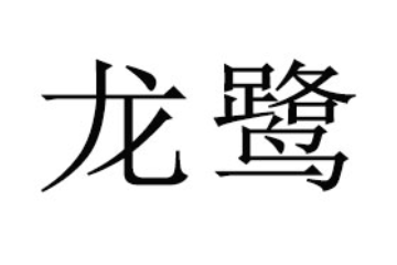 廣州市龍鷺貿易有限公司