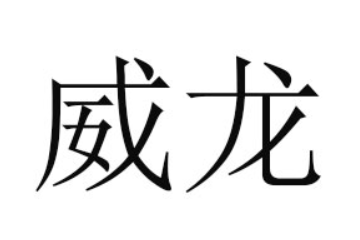 湛江市威龍食品有限公司