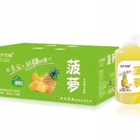 菠蘿復合果汁飲料