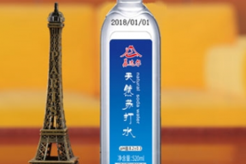 五大連池蘇打礦泉飲品有限責(zé)任公司