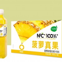 小輕果語菠蘿果肉復合果汁飲料 488ml×15瓶